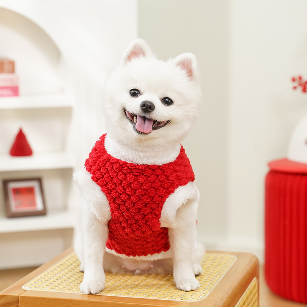 Winter coat New Chinese New Year style Guofeng character embroidery plus cashmere warm pet dog cat clothes teddy plush Tang suit