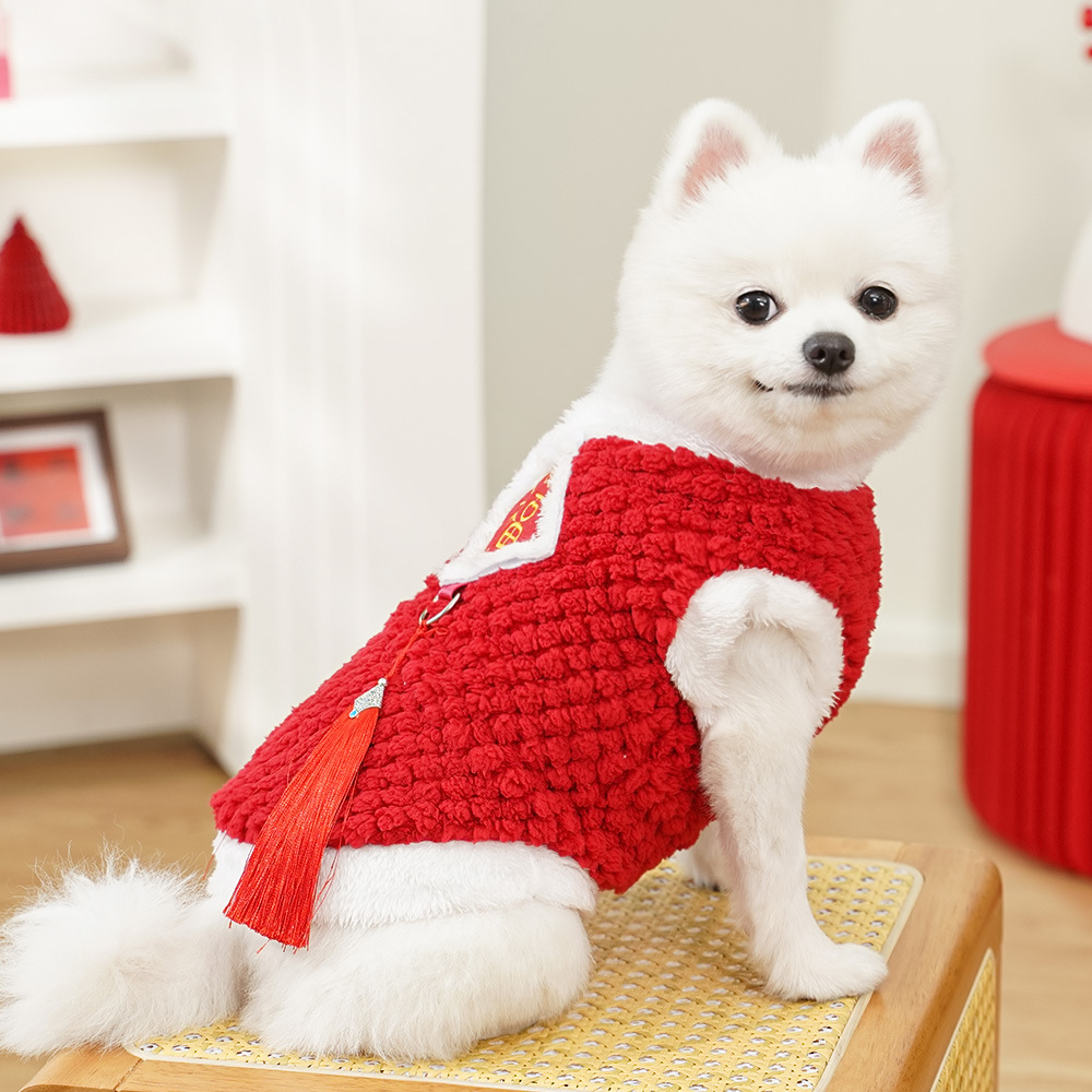 Winter coat New Chinese New Year style Guofeng character embroidery plus cashmere warm pet dog cat clothes teddy plush Tang suit