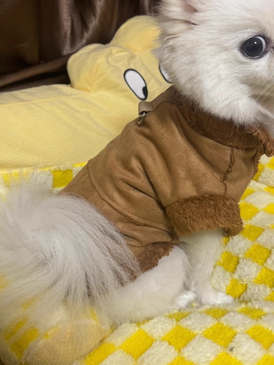Autumn/Winter Dog small dog warm everything suede towed vest cat jacket Teddy pet dog clothes