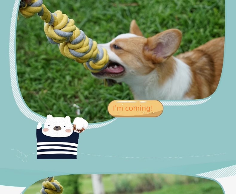 Cotton rope six knots medium and large dog pet cotton rope dog toy bite resistant large dog teething toy,Interactive Dog Pet Rope Chew Toy Set, Rope Knot Toy Combination - Includes Fun Training And Teeth Cleaning Benefits,1pc Rope Bite Toy For Dogs