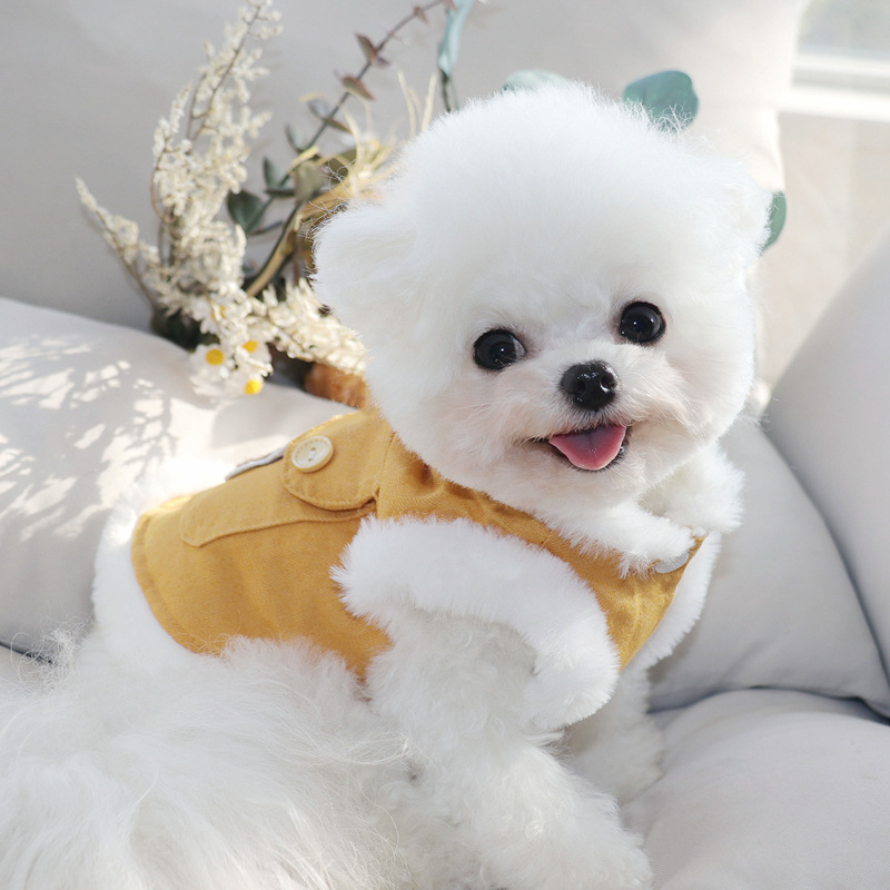 Puppy dog clothing Winter teddy Bichon Pomeranian small dog pet vest Autumn and winter cotton-padded coat