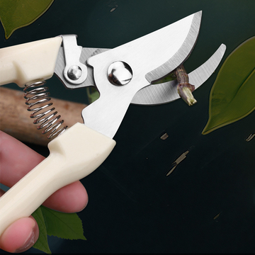 1pc Upgraded Stainless Steel Gardening Pruning Shears, Flower &amp; Tree Pruner, Fruit Picking Tool,Stainless Steel Garden Flower Scissors Pruning Fruit Branches Pruning Flowers Pruning Branch Scissors Potted Household Scissors For Cutting Flowers